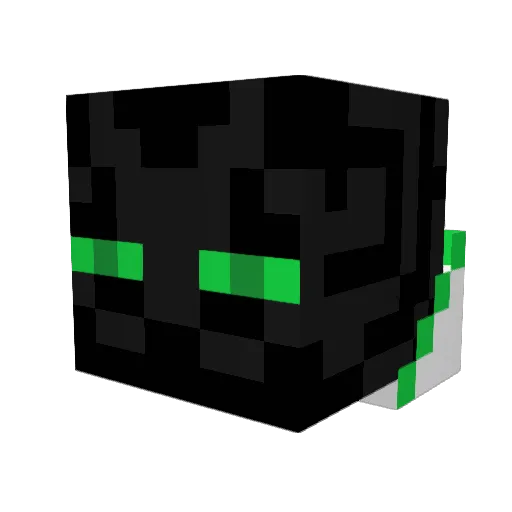 Carter72932 Minecraft avatar head, 3D render