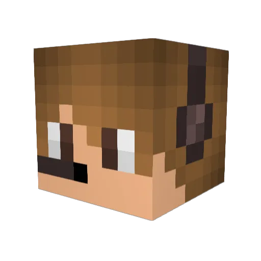 Carter99 Minecraft avatar head, 3D render