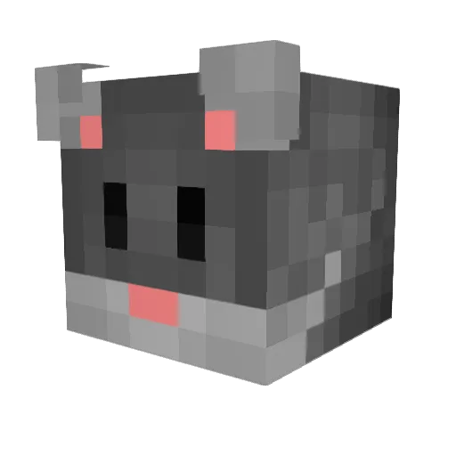 CarterBR Minecraft avatar head, 3D render