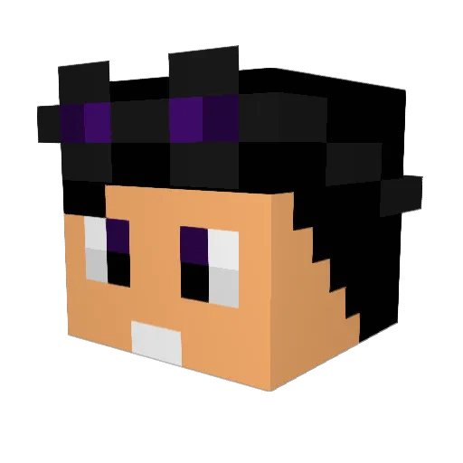 CarterBrown2007 Minecraft avatar head, 3D render