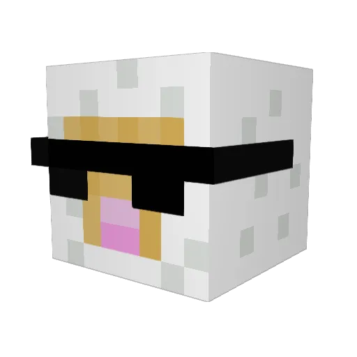 CarterBug2002 Minecraft avatar head, 3D render