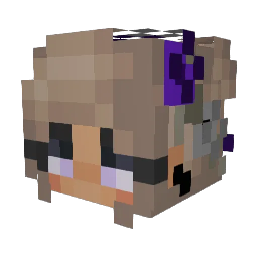 CarterCaden Minecraft avatar head, 3D render
