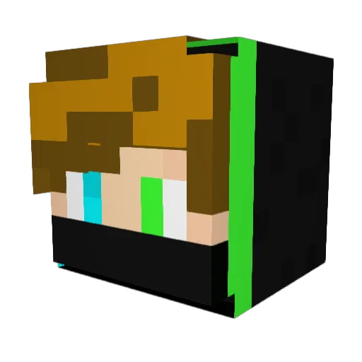 CarterCraft4711 Minecraft avatar head, 3D render