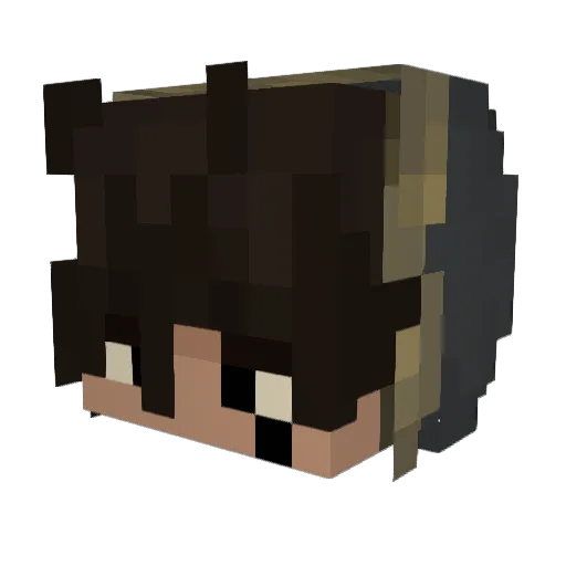CarterTheCartMan Minecraft avatar head, 3D render