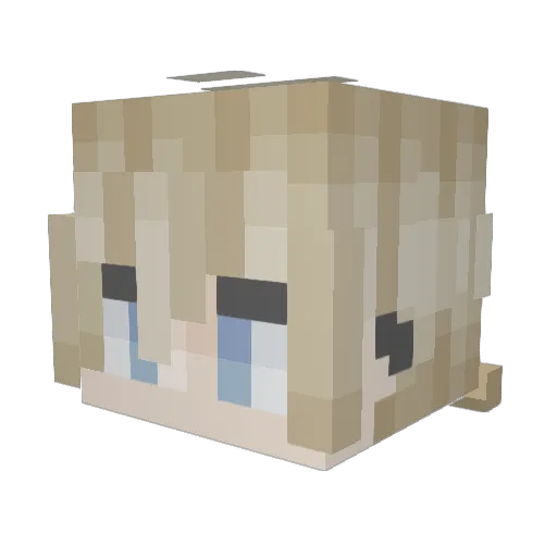 Carterrr Minecraft avatar head, 3D render