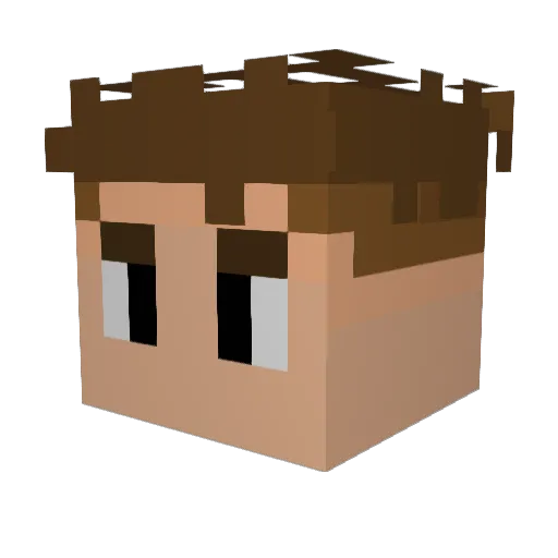 CartersEL Minecraft avatar head, 3D render