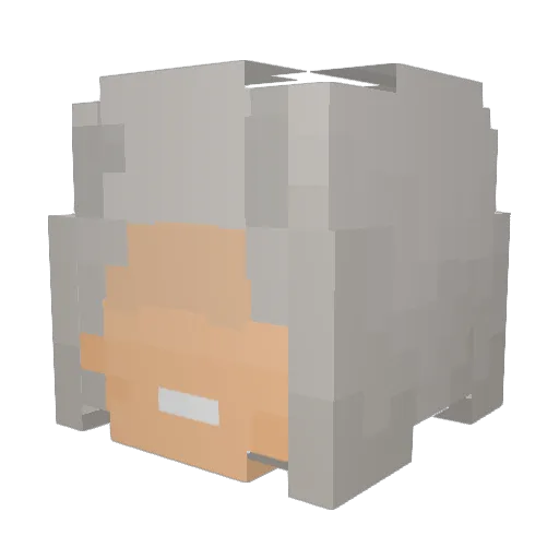 Cartifan69_ Minecraft avatar head, 3D render