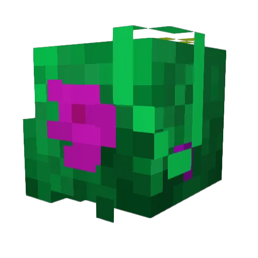 Cartilage6401 Minecraft avatar head, 3D render