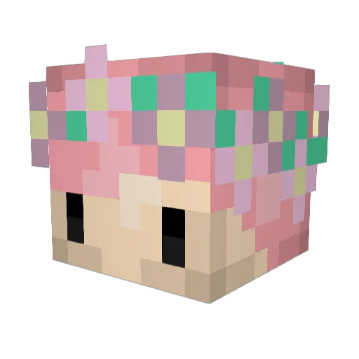 Cartivore Minecraft avatar head, 3D render