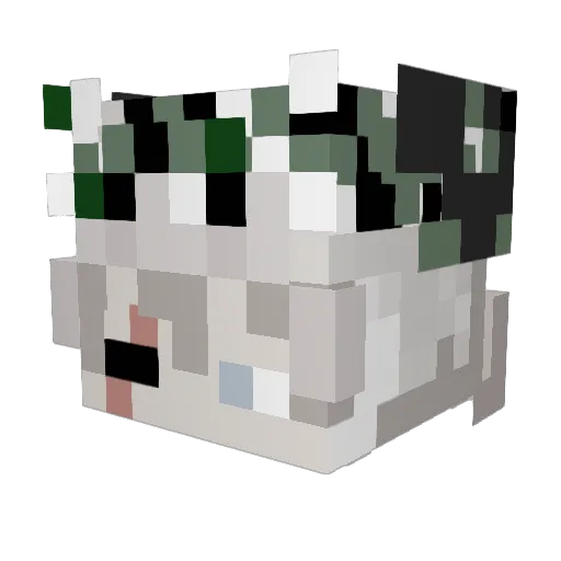 CartixFan Minecraft avatar head, 3D render