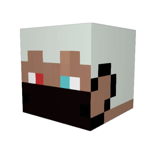 CartmanHDP Minecraft avatar head, 3D render