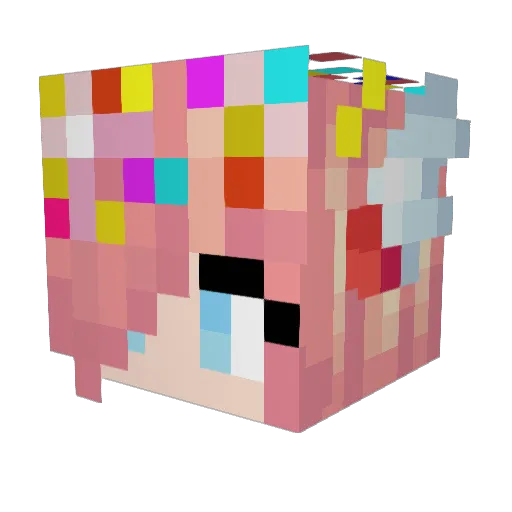 Cartman_JR Minecraft avatar head, 3D render