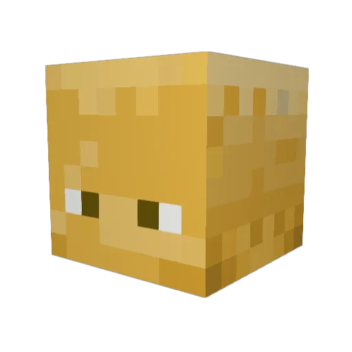 Cartofeluu Minecraft avatar head, 3D render