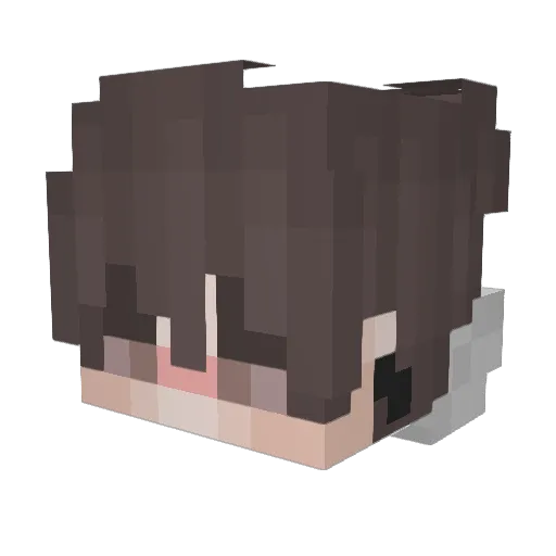 Carton206 Minecraft avatar head, 3D render