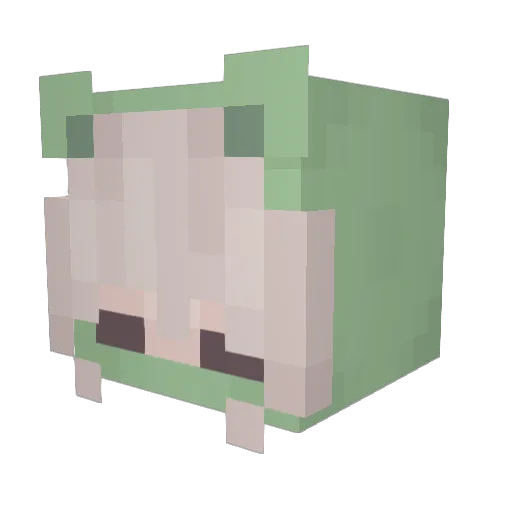 Carton9474 Minecraft avatar head, 3D render