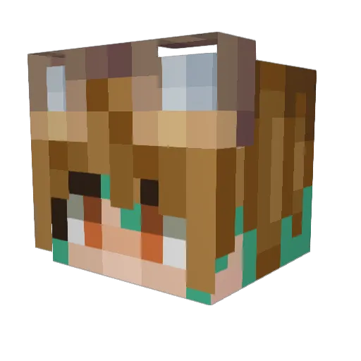 Cartoonist9 Minecraft avatar head, 3D render