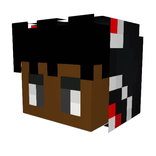 Cartoonsr4 Minecraft avatar head, 3D render