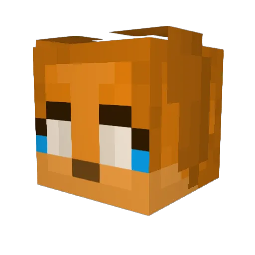 Cartwheel76 Minecraft avatar head, 3D render