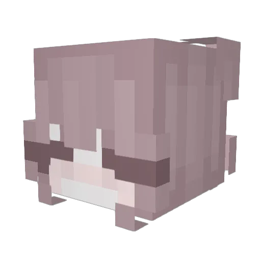 Minecraft-Avatar von Carxh: Kopf als 3D-Render