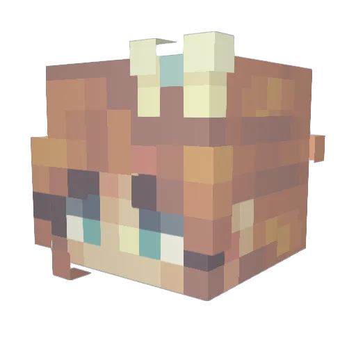 Carxna02 Minecraft avatar head, 3D render