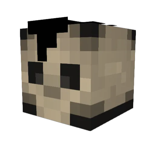 Caryl_ Minecraft avatar head, 3D render