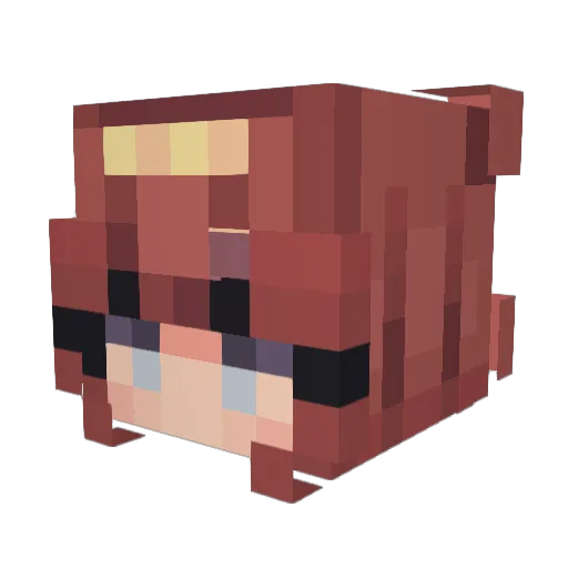 Cas23 Minecraft avatar head, 3D render