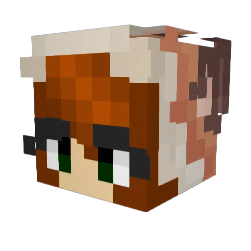 Cas447 Minecraft avatar head, 3D render