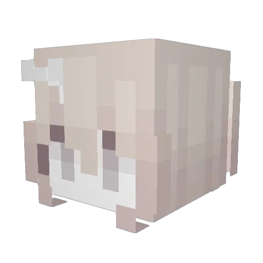 CasCas_ Minecraft avatar head, 3D render