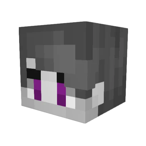 Casa_Nova Minecraft avatar head, 3D render