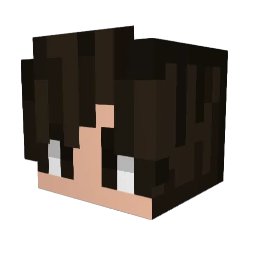Casarinn Minecraft avatar head, 3D render