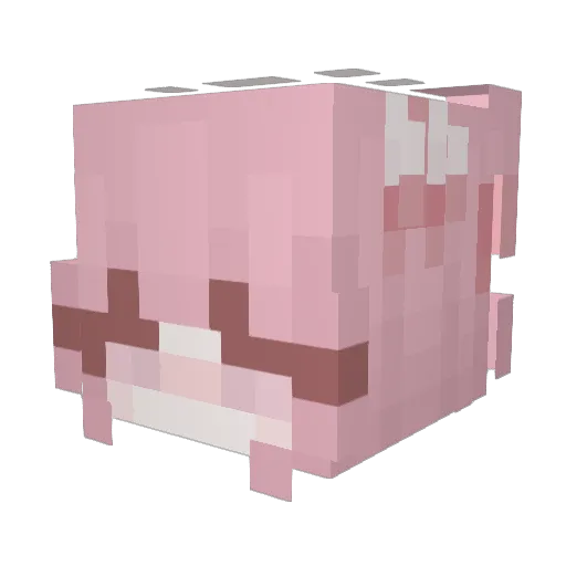 Casddsa Minecraft avatar head, 3D render