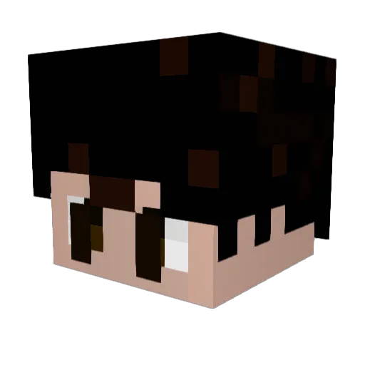 Case24_ Minecraft avatar head, 3D render
