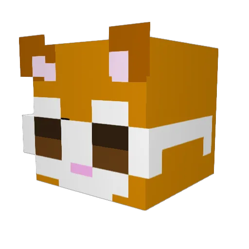 Casei Minecraft avatar head, 3D render