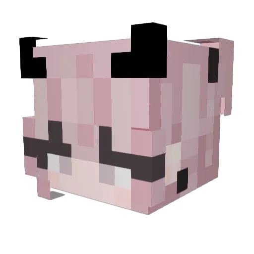 Caseuu Minecraft avatar head, 3D render