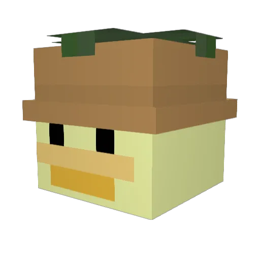 Casey654 Minecraft avatar head, 3D render