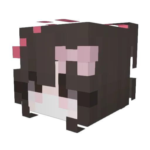 CaseyELISE Minecraft avatar head, 3D render