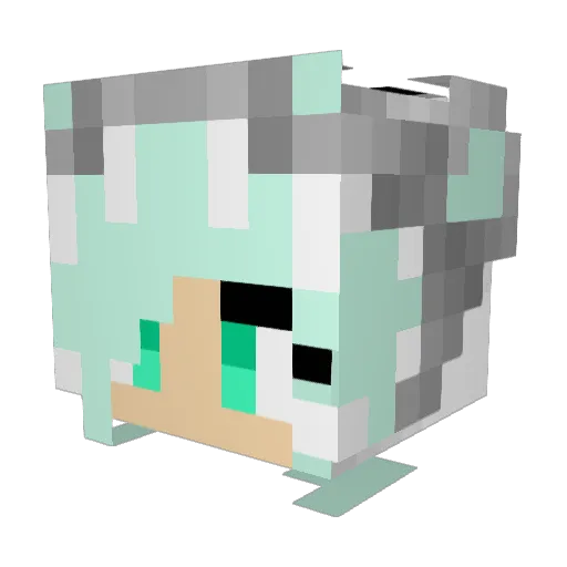 CaseyFinley Minecraft avatar head, 3D render