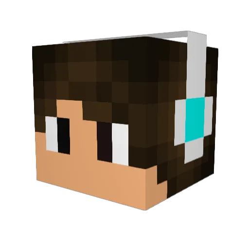 Caseyrg Minecraft avatar head, 3D render