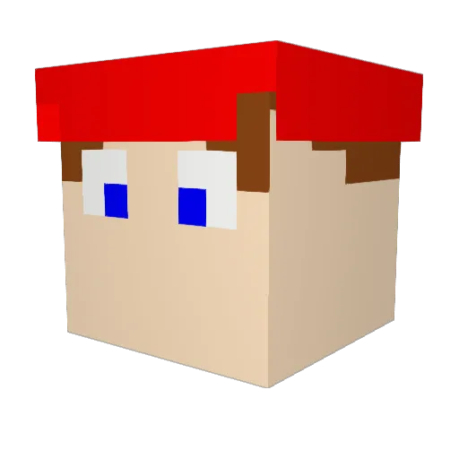 Cash2007 Minecraft avatar head, 3D render