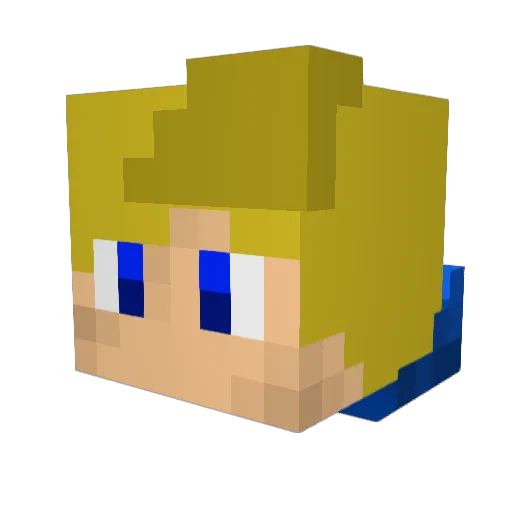 Cash311 Minecraft avatar head, 3D render