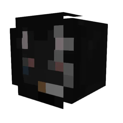 CashFlow Minecraft avatar head, 3D render