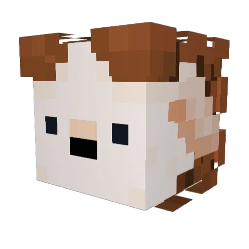 CashMaster55 Minecraft avatar head, 3D render