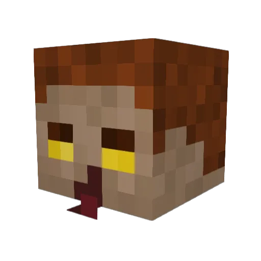 CashPls Minecraft avatar head, 3D render