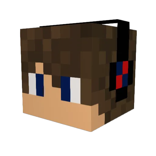 Cash_Bot Minecraft avatar head, 3D render