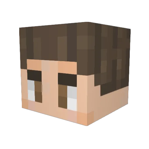 Cashal Minecraft avatar head, 3D render