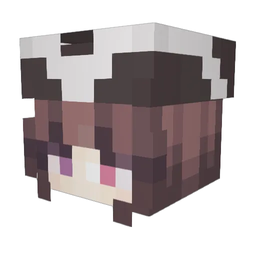 Cashbird Minecraft avatar head, 3D render