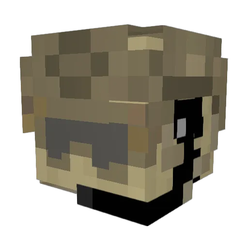 CashenCartoonz Minecraft avatar head, 3D render
