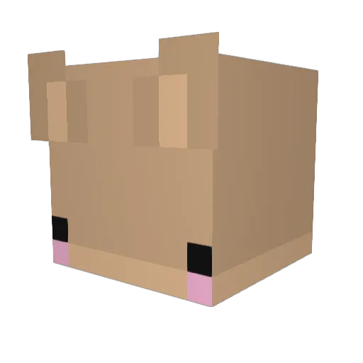 CashesNeq Minecraft avatar head, 3D render
