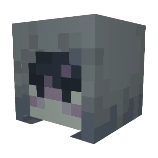 CashewEater Minecraft avatar head, 3D render