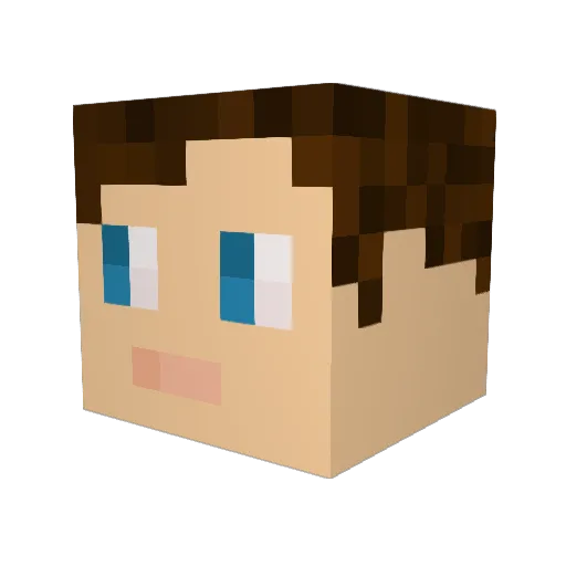 Cashews2006 Minecraft avatar head, 3D render